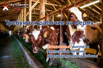 Рабочий на ферму ООО "ПЕРСОНАЛЬНЫЙ РЕСУРС"